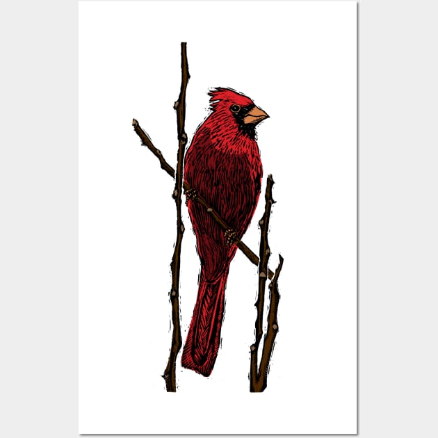 Northern Cardinal Wall Art by deancoledesign